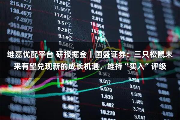 维嘉优配平台 研报掘金丨国盛证券：三只松鼠未来有望兑现新的成长机遇，维持“买入”评级