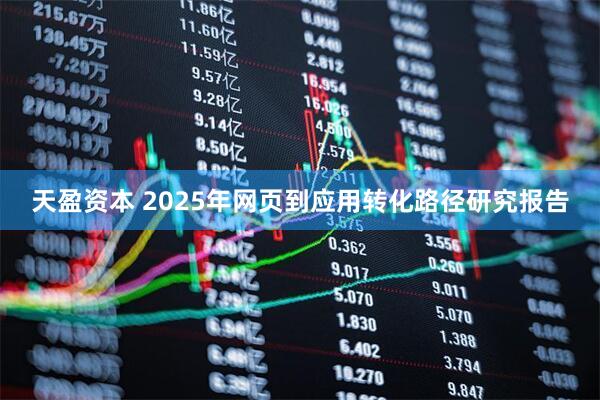 天盈资本 2025年网页到应用转化路径研究报告